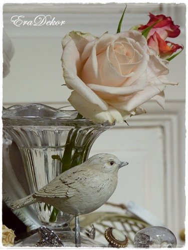 anyak_napi_kepeslap1