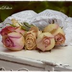 anyak_napi_kepeslap2