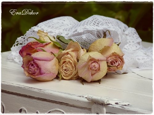 anyak_napi_kepeslap2