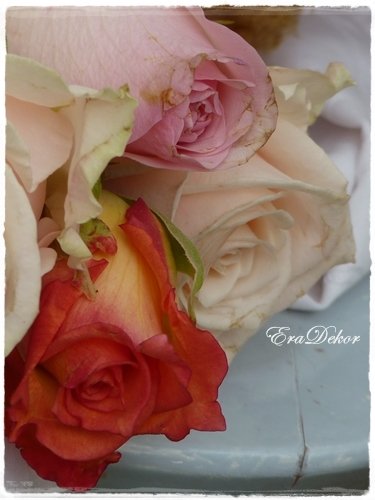 anyak_napi_kepeslap5