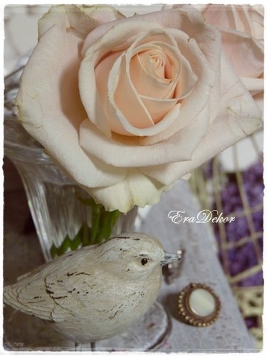 anyak_napi_kepeslap6