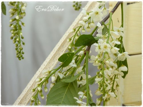 vintage_fotozas_zoldben10