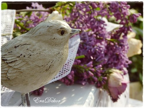 vintage_fotozas_zoldben11