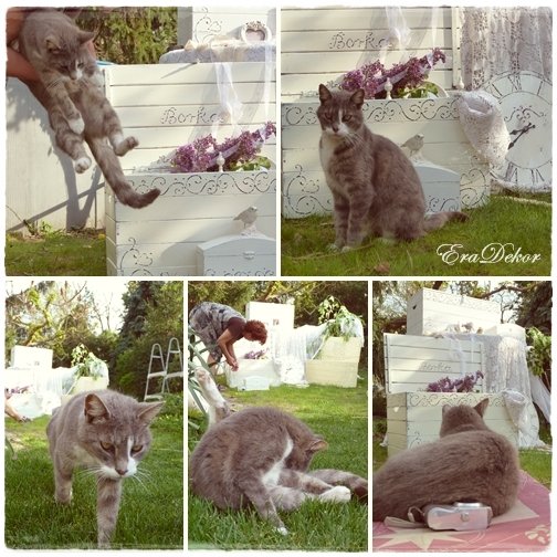 vintage_fotozas_zoldben17