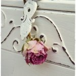 vintage_fotozas_zoldben7