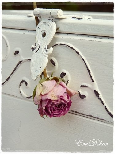 vintage_fotozas_zoldben7