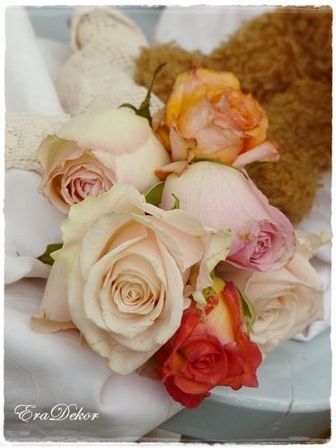 anyak_napi_kepeslap10