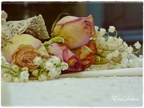 anyak_napi_kepeslap11